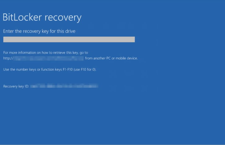 Windows 10 Recovery Key Id